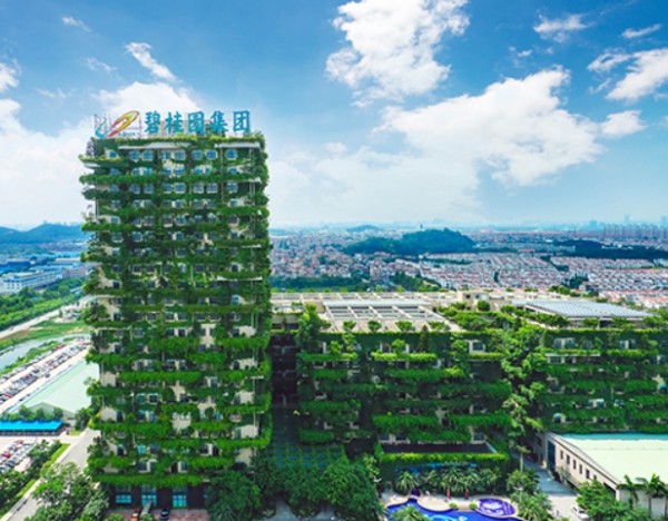 碧桂园：7月归属公司股东权益的合同销售金额约22.6亿元