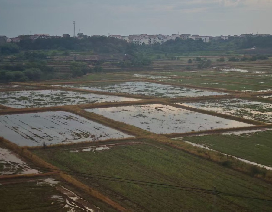 河南发布农田渍涝灾害风险预警