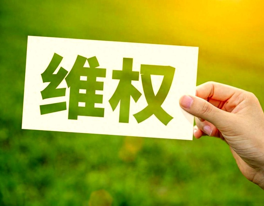 *ST航图及实控人被证监会立案调查，维权征集启动