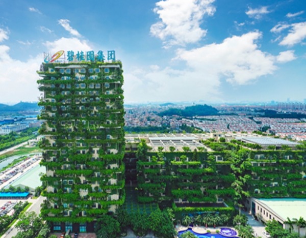 碧桂园服务公布中期业绩 股东应占利润约9.5亿元 同比减少4.6%