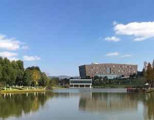 云南白药：2026年上半年净利润37.01亿元，同比增长1.88%