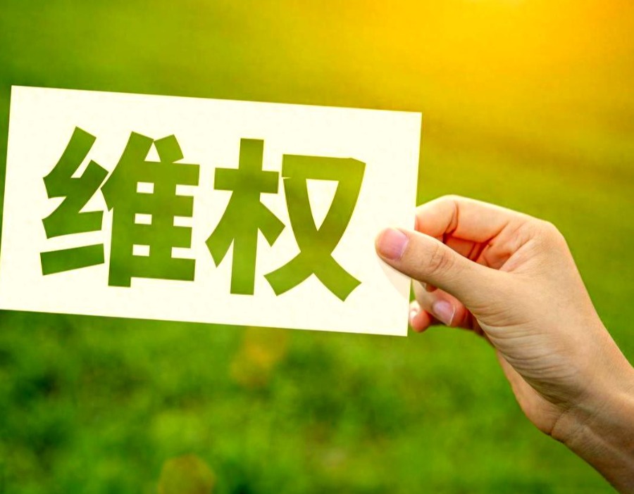 *ST九鼎涉信披违规被立案调查，维权征集进行中